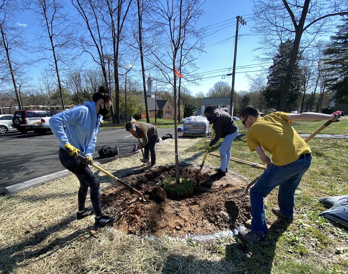 students planting a tree