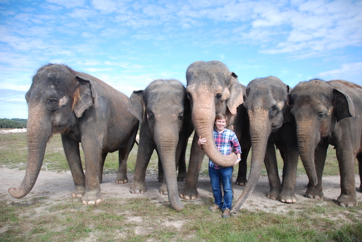 Chase LaDue stands in front of five elephants. He is holding the trunk of the elephant in the middle, as if he is hugging it.