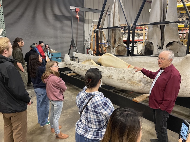 students tour Smithsonian whale bone archive