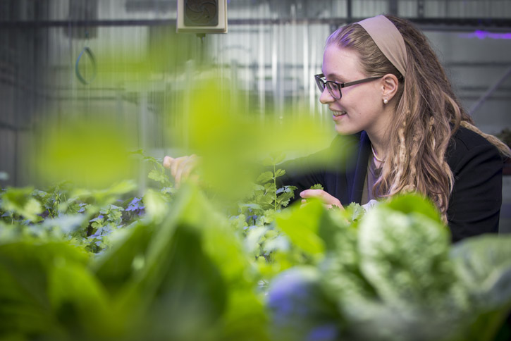 Donielle Nolan tends to plants in the Presidents Park Greenhouse.