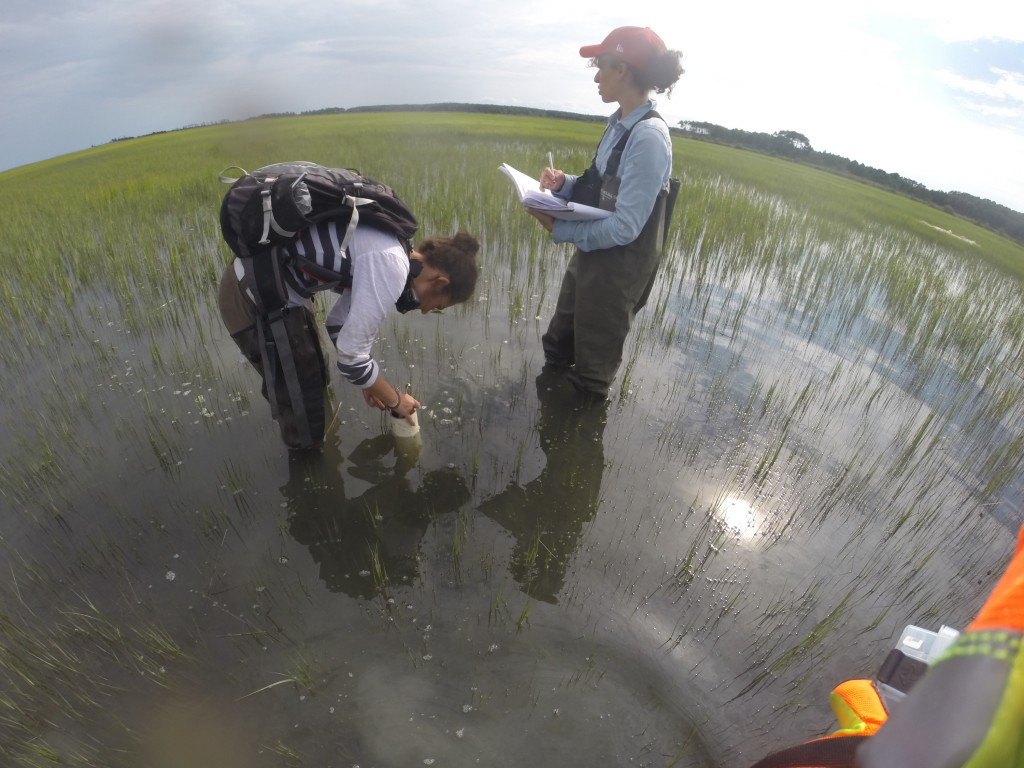 Dr. Eleonore Paquier (left) and Jana Haddad collecting data in the Chesapeake Bay. Photo provided.