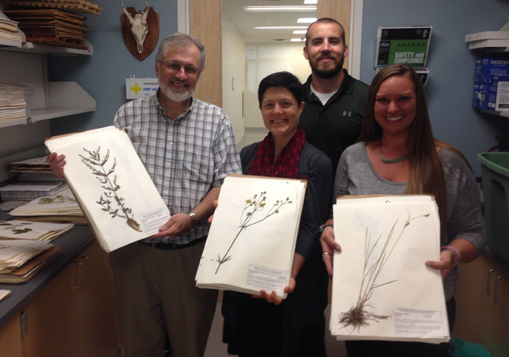Researchers and students hold pressed and mounted plant specimens