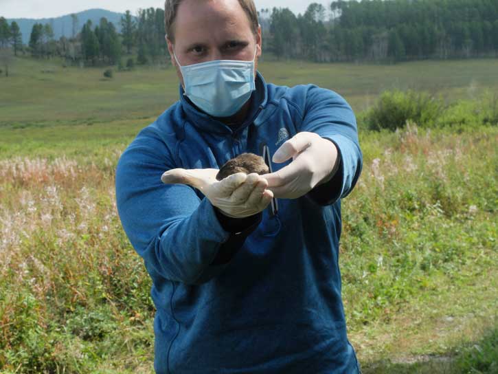 Michael von Fricken holds a Mongolian vole