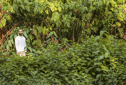 Alaa Abu Asad, The Dog Chased its Tail to Bite it Off, 2018-present (ongoing).