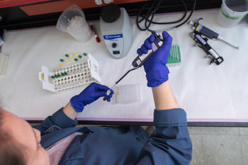 Conrad wearing a lab coat and gloves in the endocrine lab. She is holding a tube with red panda fecal matter and inserting a solution into the tube with a special pipette. 