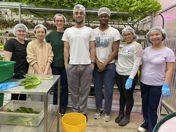 Delta Omega Day of Service - Students volunteerin at Mason's Greenhouse
